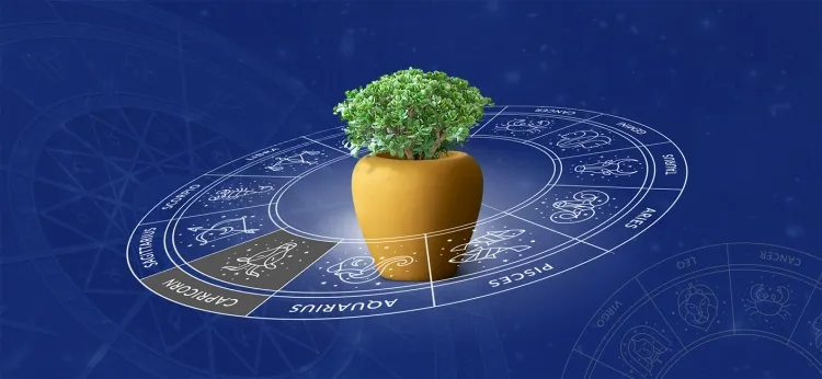 plantes et astrologie comment expliquer changement humeur pièce