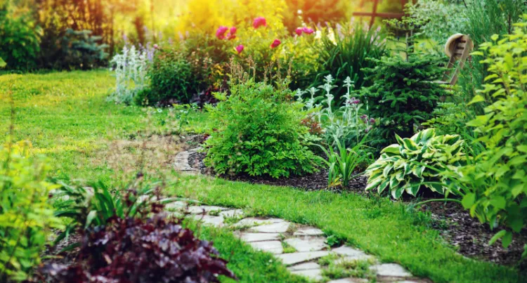 Aménagement de jardin extérieur