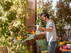 plantes pour cacher vis à vis balcon