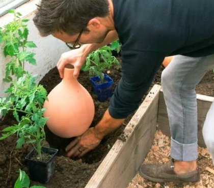 pourquoi fabriquer oyas maison enterrer pots argile améliorer irrigation plantes