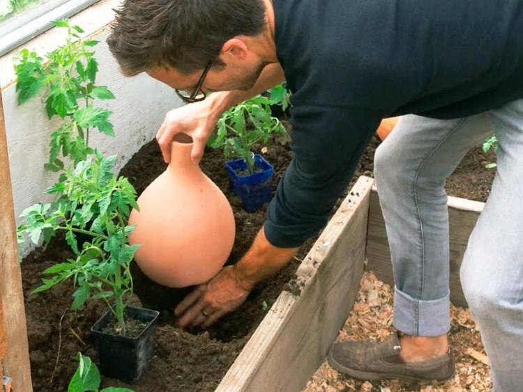 OYAS: Retour sur l'utilisation de pots horticoles comme oyas 