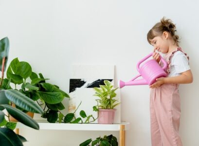 quand arroser les plantes intérieures conseils et astuces comment savoir si une plante a soif