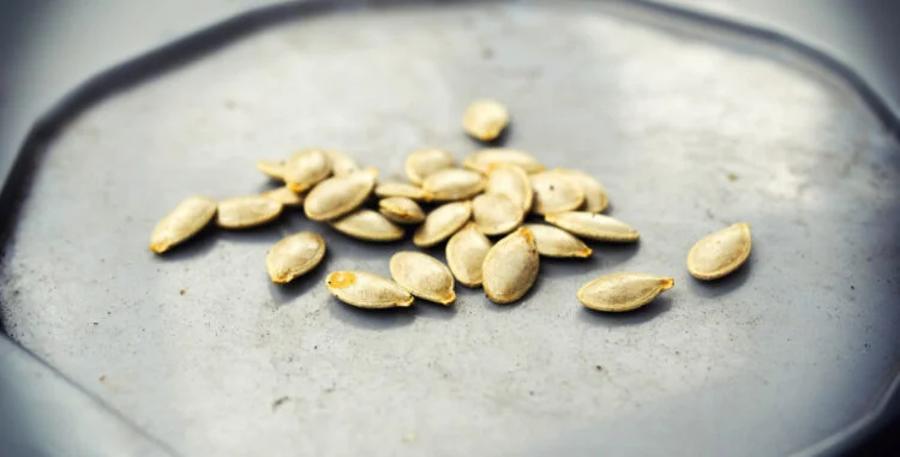 que faire avec des graines de citron germées