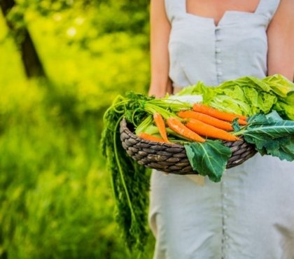 que planter en avril au potager liste des légumes production bio