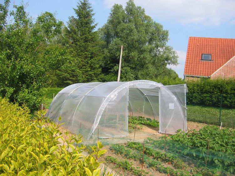 quels modèles de bâches pour serres de jardin choisir