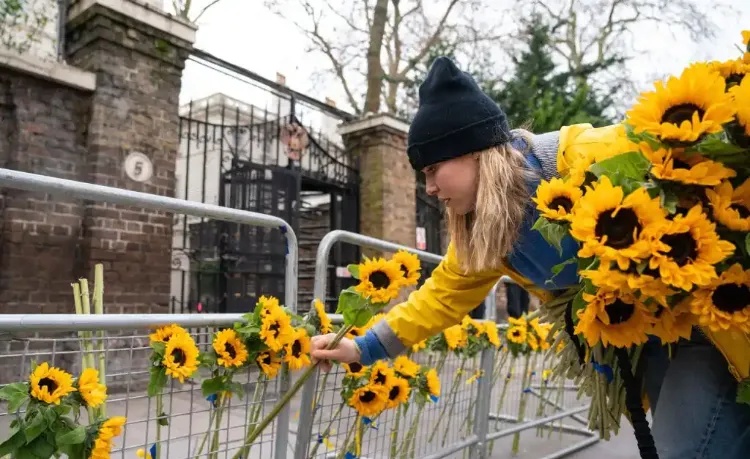 meaning of sunflower for ukrainians 