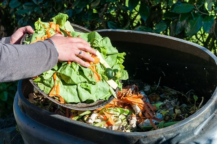 solution pour le gaspillage alimentaire le compost