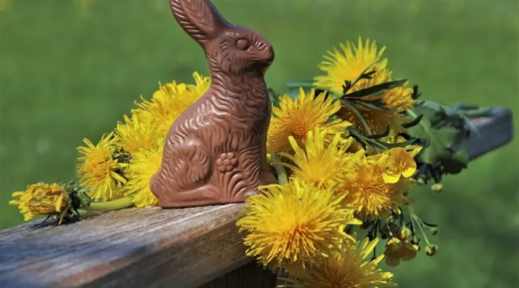 symbolique lapin en chocolat Pâques