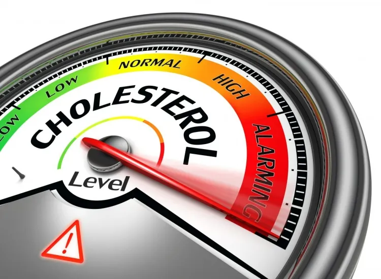 taux de cholestérol bas médecin classer niveaux personne élevés bas limites sains