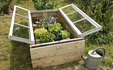 3 idées mini serre DIY faciles printemps 2022