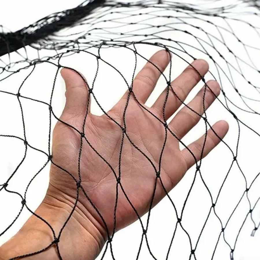 5 trucs pour éloigner les oiseaux du jardin
