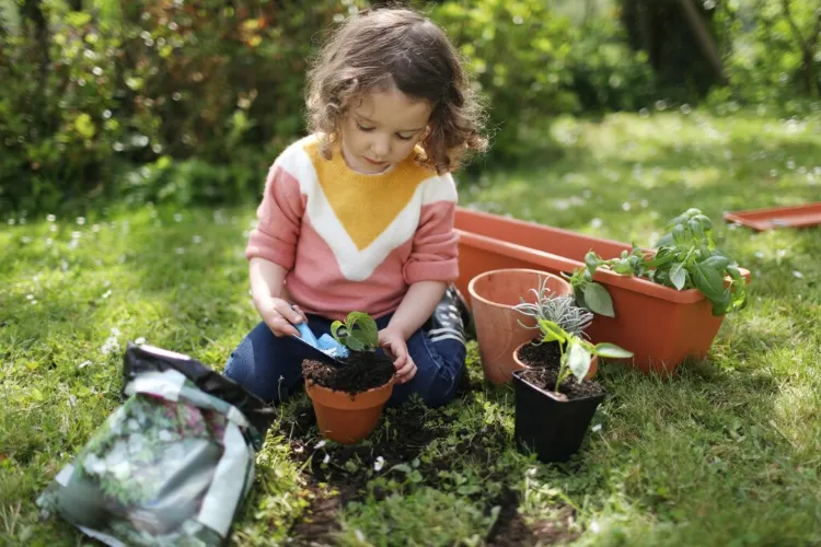 activités de jardinage faciles à faire pour les enfants 2022