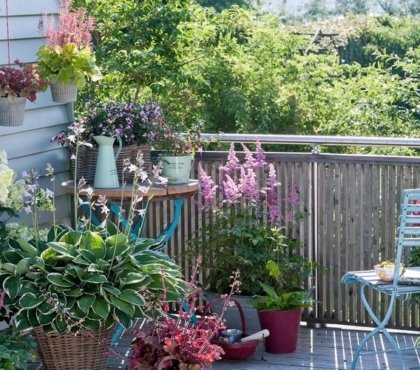 arbuste fleuri en pot pour balcon déco quelles plantes choisir