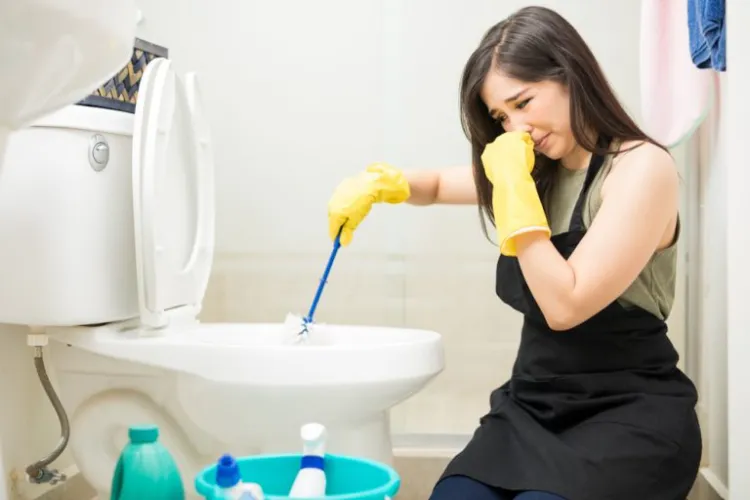astuces enlever odeur urine toilettes salle de bains WC quelles sources