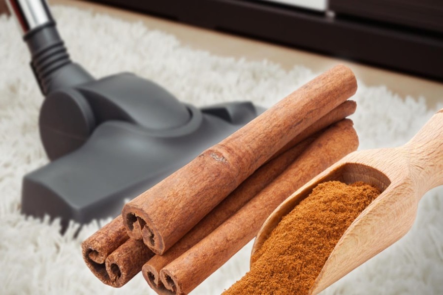 astuces naturelles pour éloigner les souris