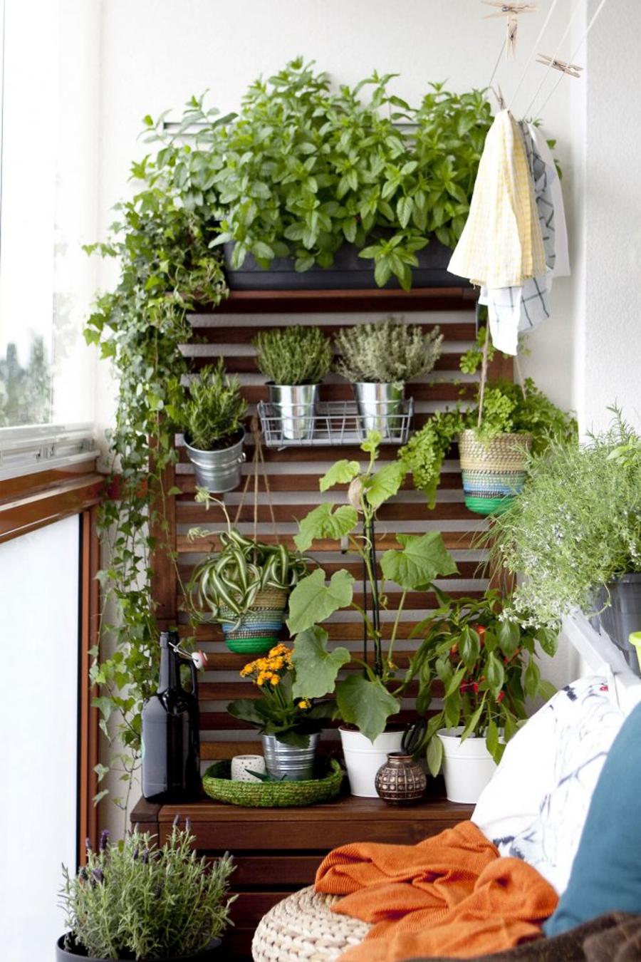 balcon cosy
