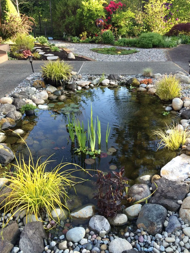 bassin de jardin zen aménagement moderne en pierres