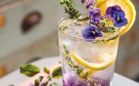 cocktail violet avec gin