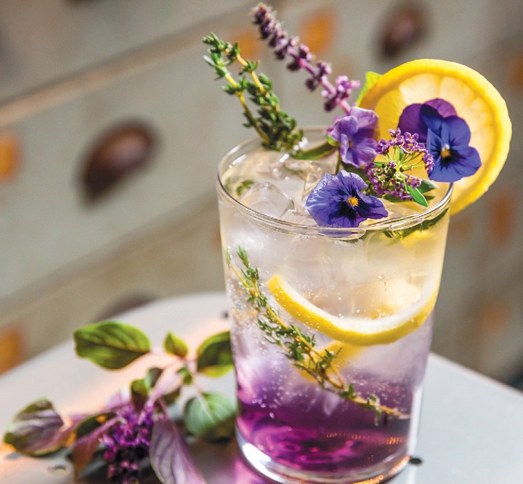 cocktail violet avec gin