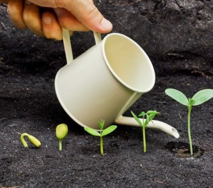 combien d'eau necessitent les plantes de jardin au printemps