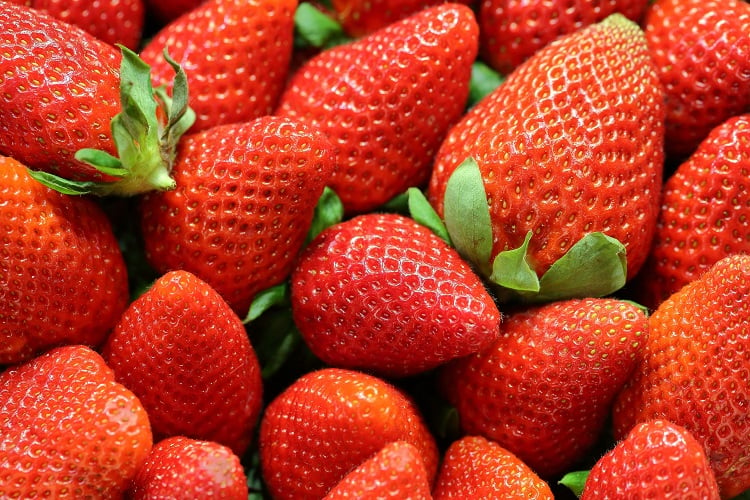 comment booster la production de votre fraisier