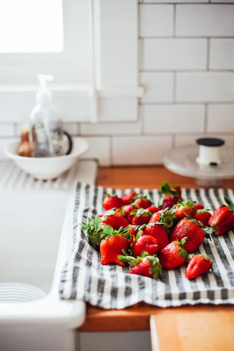 comment conserver des graines de fraises