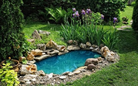comment créer un bassin de jardin