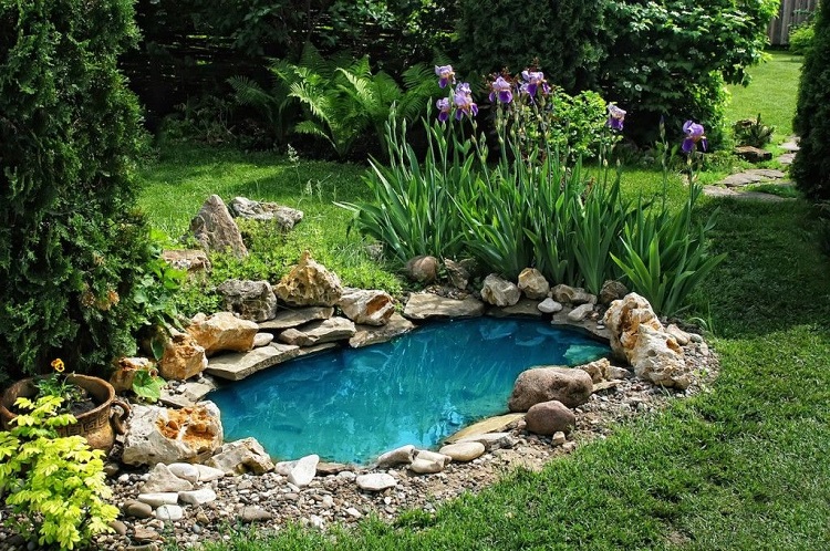 comment créer un bassin de jardin