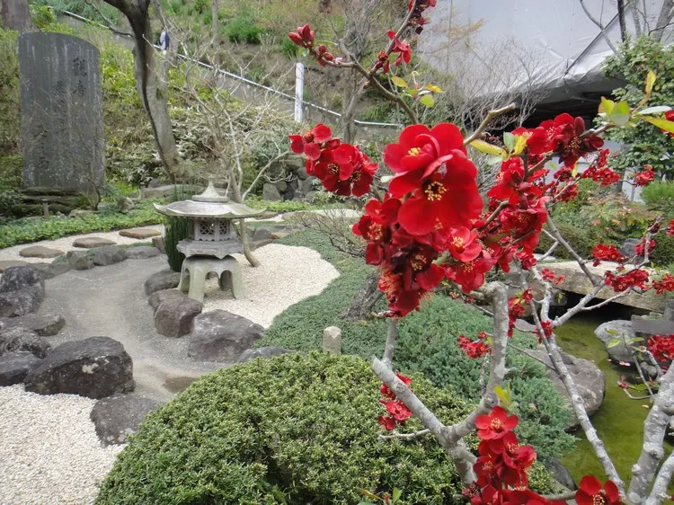 comment créer un petit jardin japonais zen motifs incontournables à y incorporer