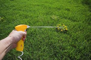 comment éliminer les mauvaises herbes des allées jardin pelouse gazon maison
