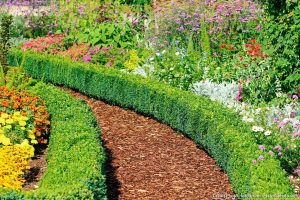 comment faire des bordures de jardin pas cher