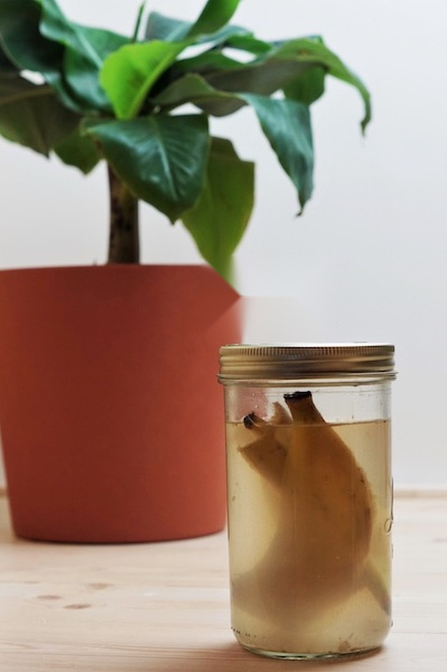 comment préparer un engrais liquide avec peau de banane