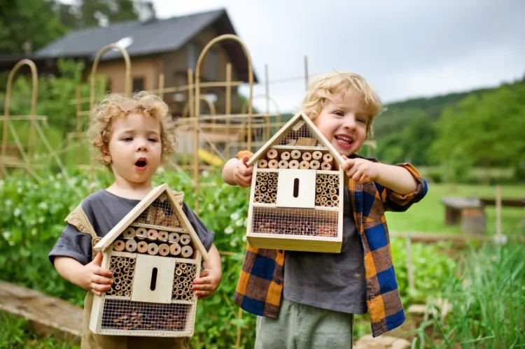 Building an insect hotel with the children 2022