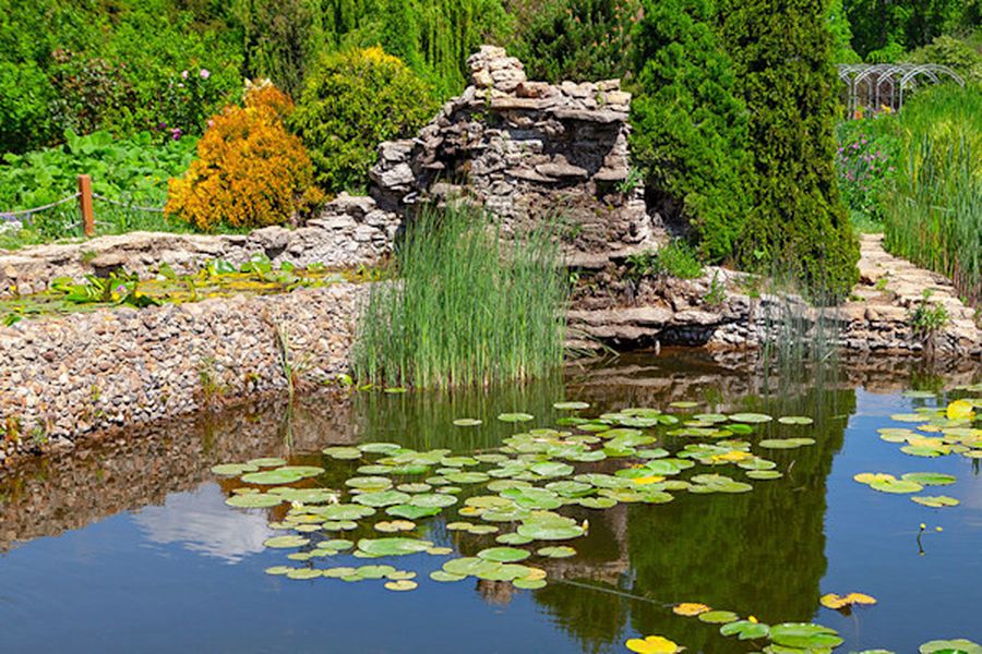 déco bassin extérieur