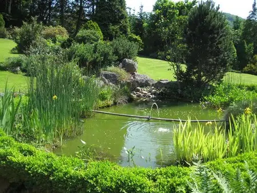 décoration pour bassin extérieur