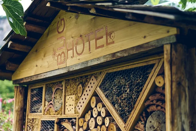 fabriquer un hôtel à insectes avec des matériaux naturels