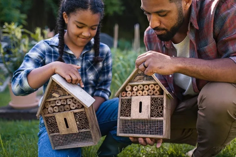 fabriquer un hôtel à insectes en forme de petites maisons