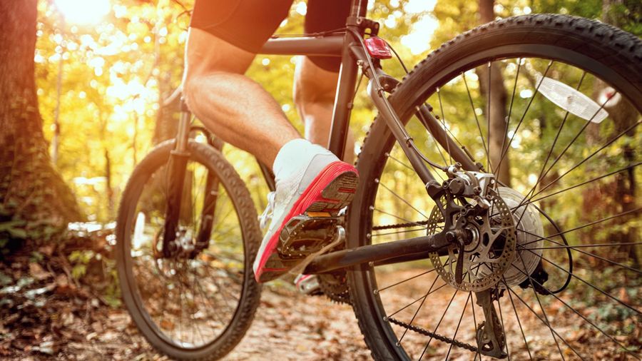 faire du vélo pour se muscler le dos