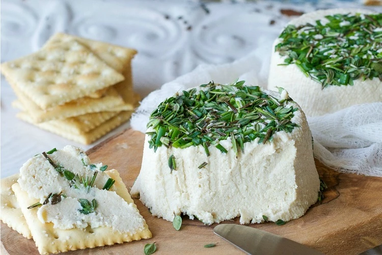 fromage frais aux herbes fait maison