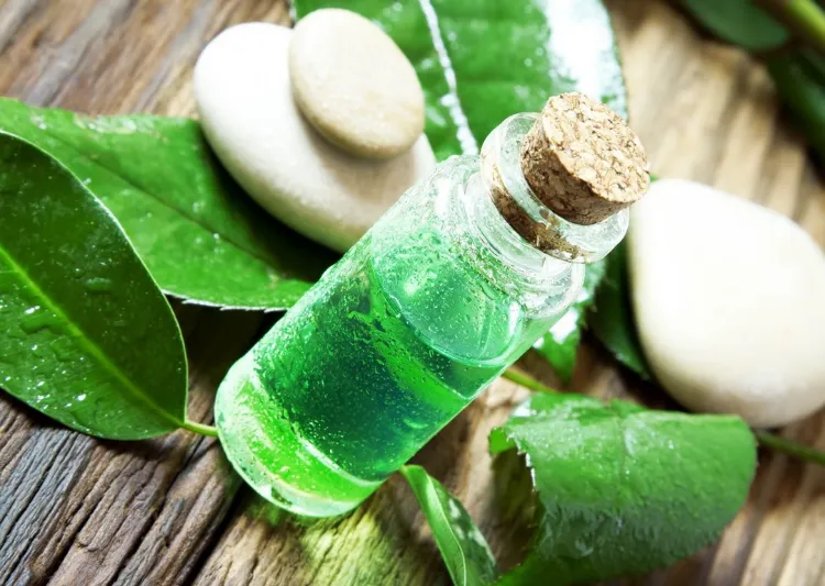 tea tree essential oil against ticks 2022