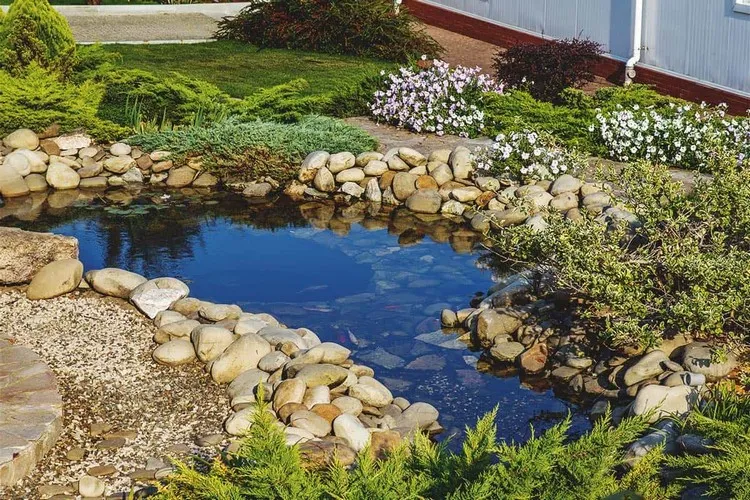 idee deco bassin jardin végétation pierres