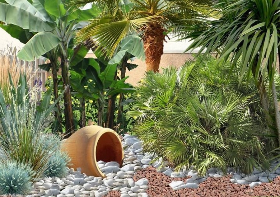 idées déco jardin avec gravier