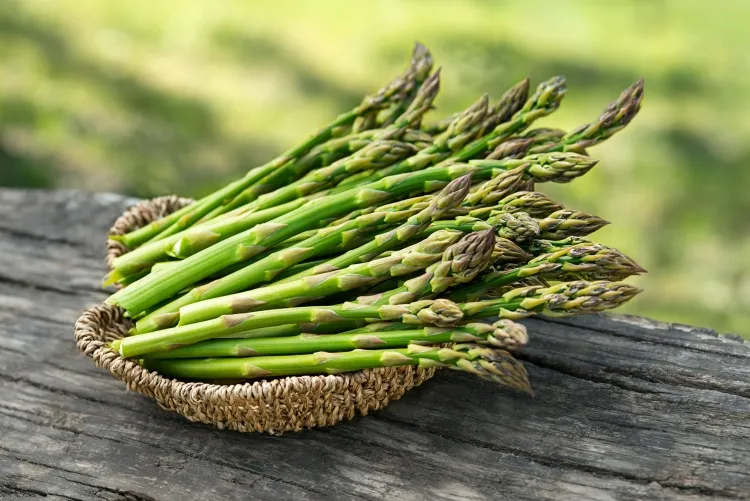 Asparagus juice is rich in folic acid, potassium, niacin, phosphorus, vitamins ACK