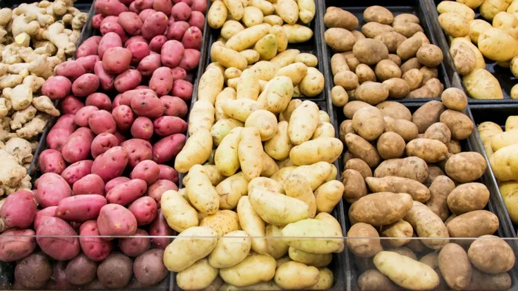manger des pommes de terre tous les jours apport potassium fibres qualité alimentation élevée