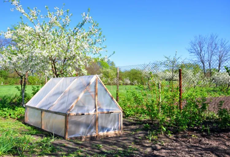 mini serre de jardin recup printemps 2022