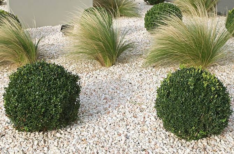 modèle de jardin avec gravier