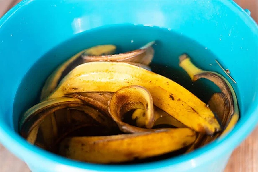 peau de banane engrais