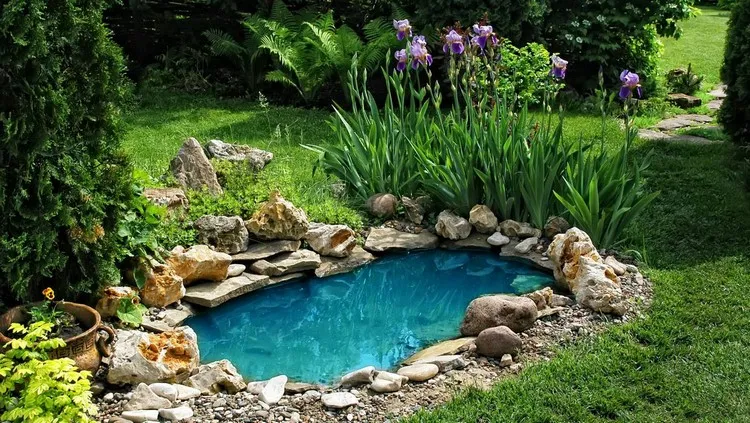 petit bassin de jardin fleurs de glaïeuls objets déco extérieur