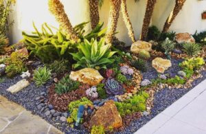 plantes grasses extérieur astuces avoir belles succulentes jardinet de rocaille