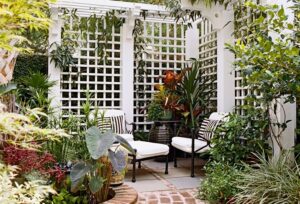 plantes grimpantes extérieur fleurs feuillage persistant balcon mur plein soleil